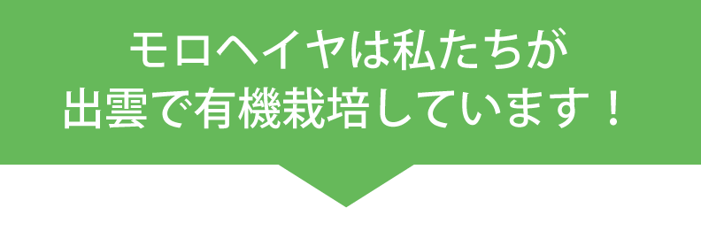 有機モロヘイヤと寒天のダイエットサプリ。