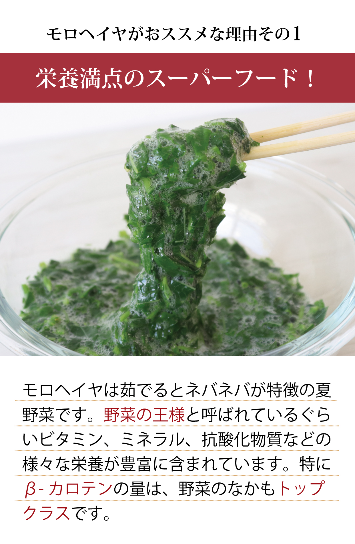 モロヘイヤとは