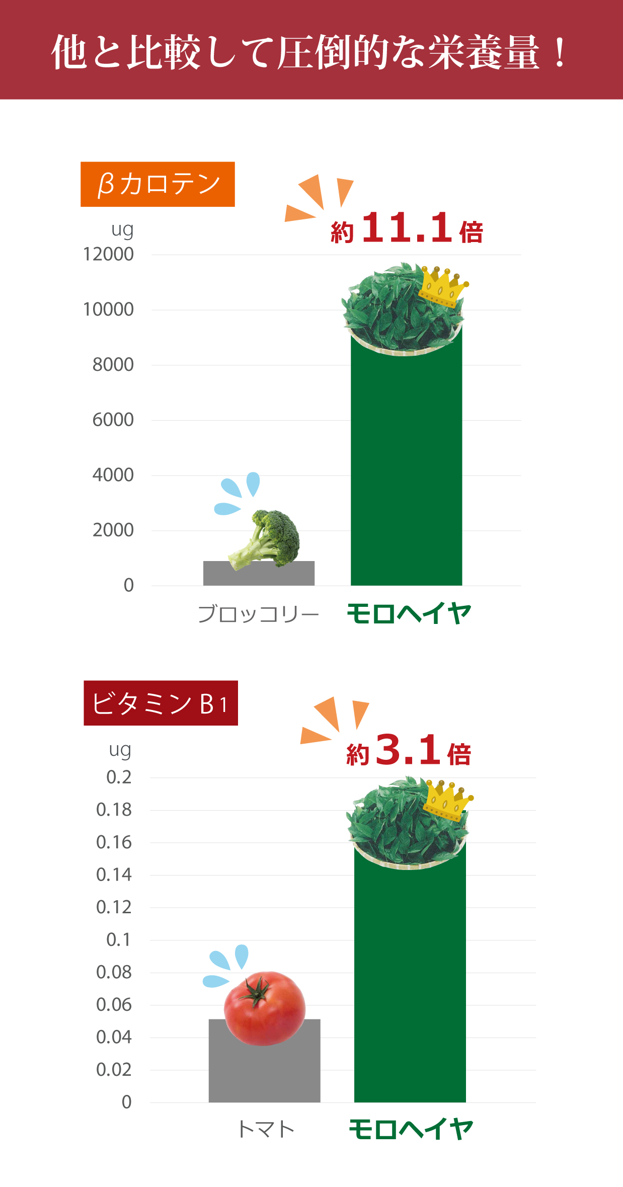 モロヘイヤ栄養1