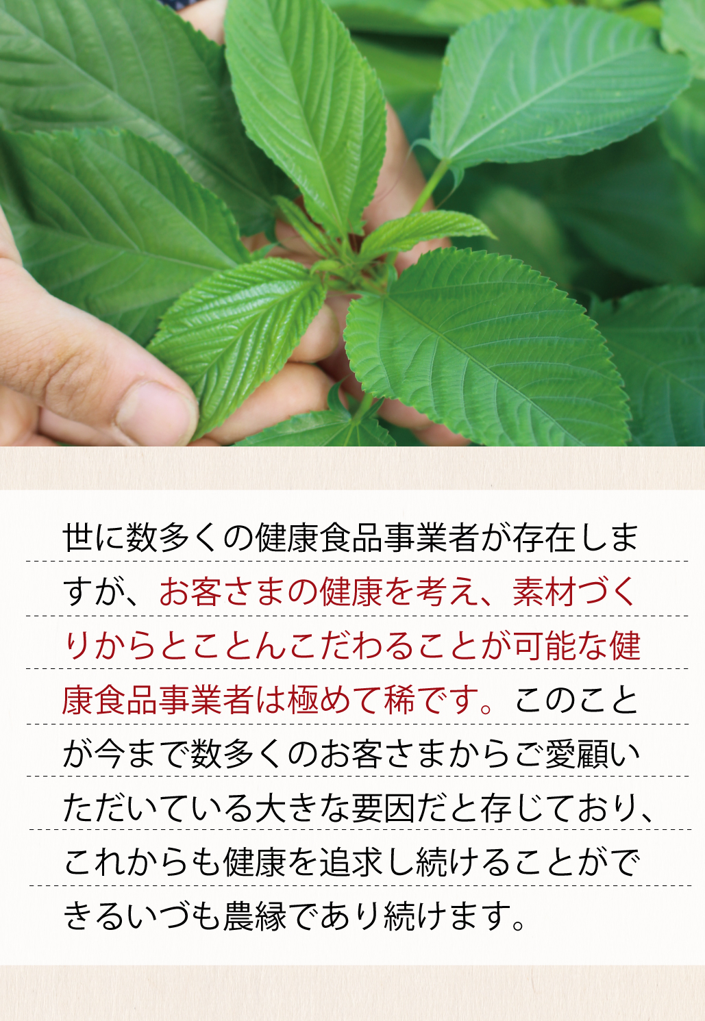 いづも農縁2
