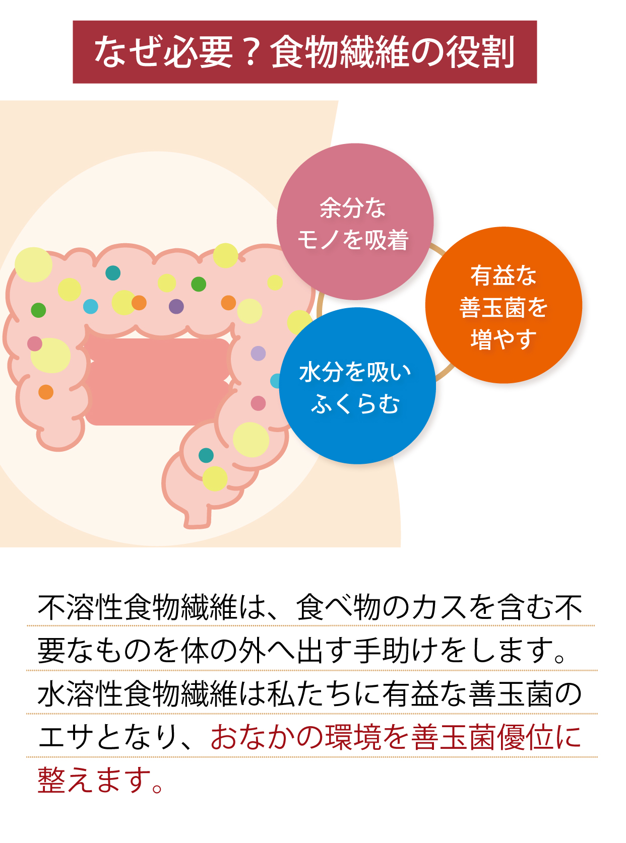 食物繊維の役割