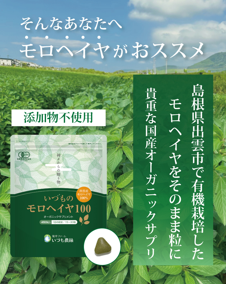 モロヘイヤがおススメ！