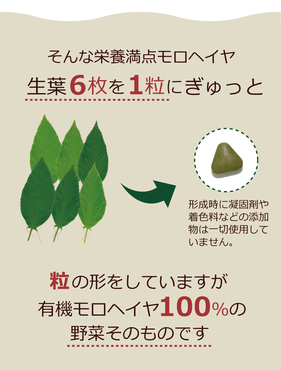 モロヘイヤの栄養をぎゅっと粒に