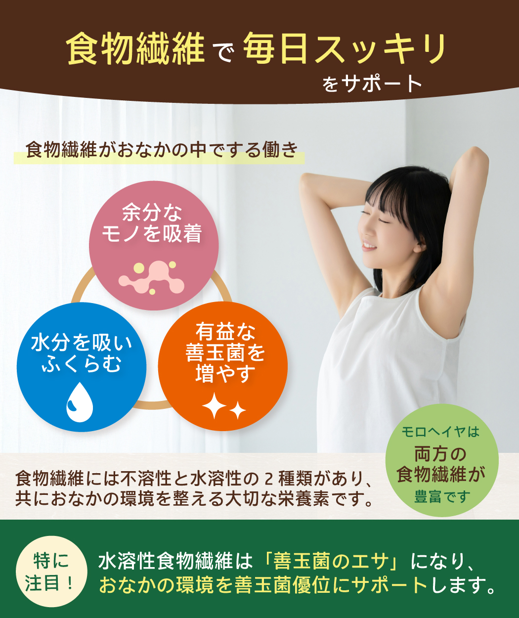 会社紹介
