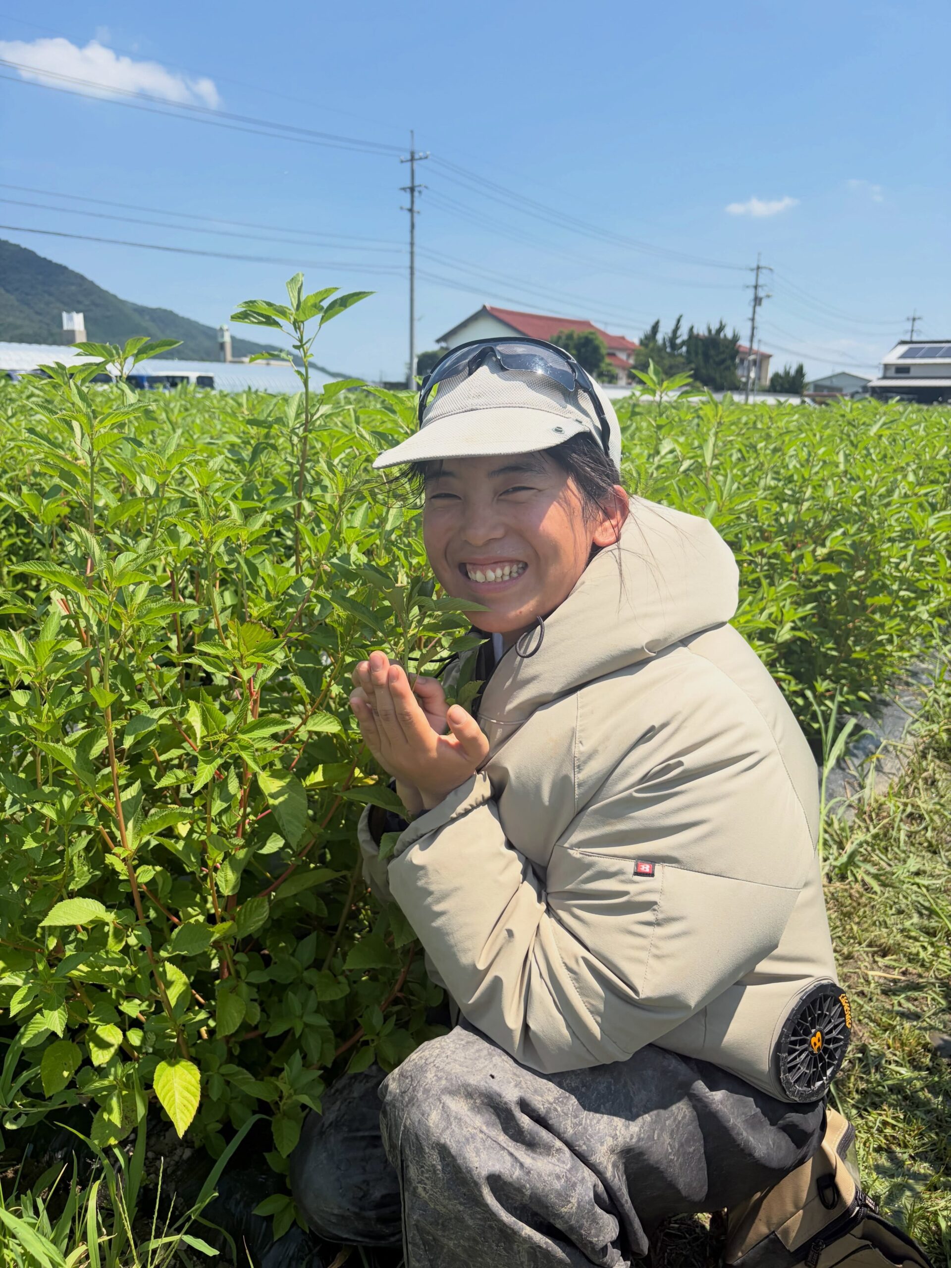 いづも農縁 Instagram投稿3