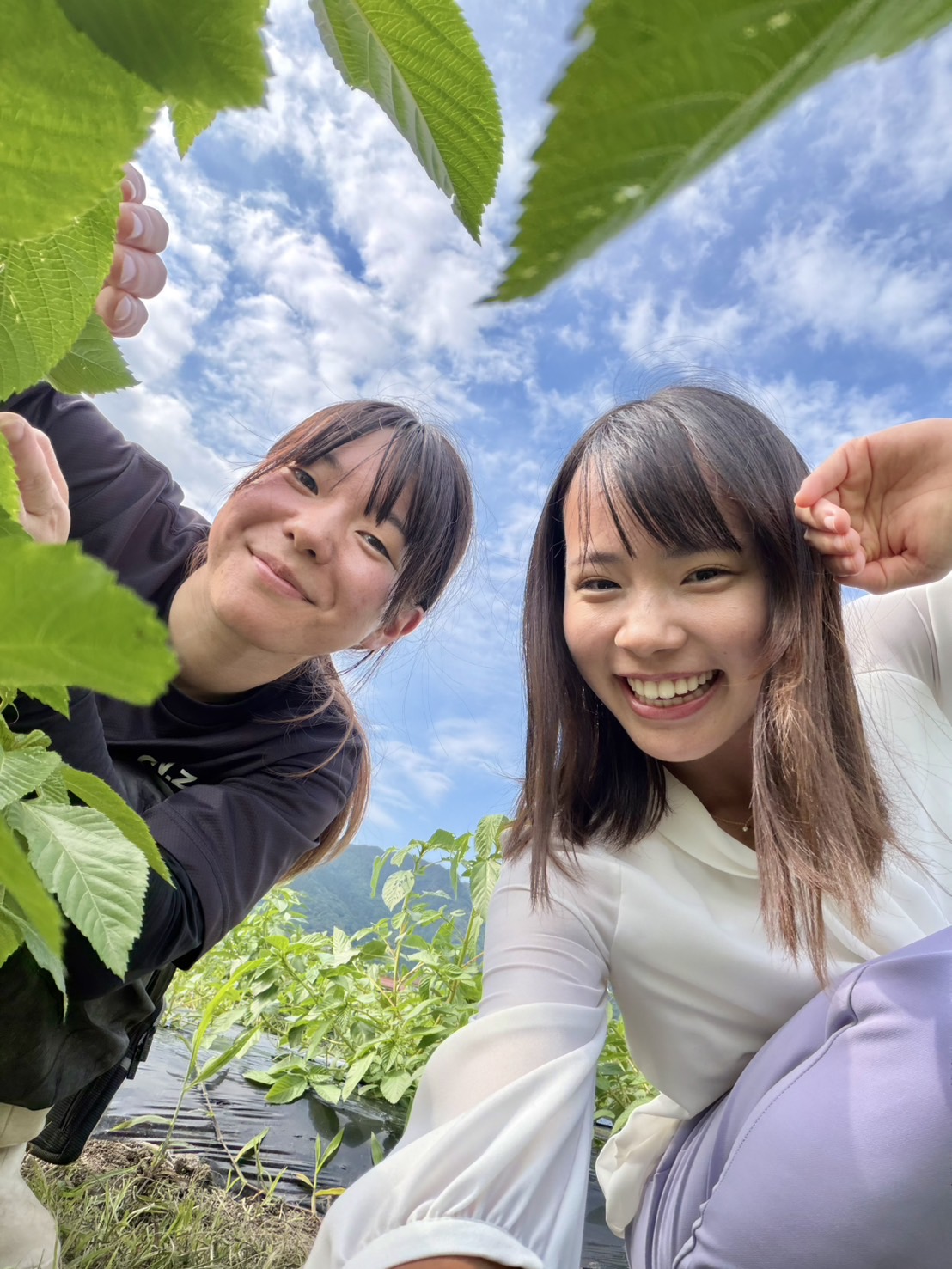 いづも農縁 Instagram投稿2