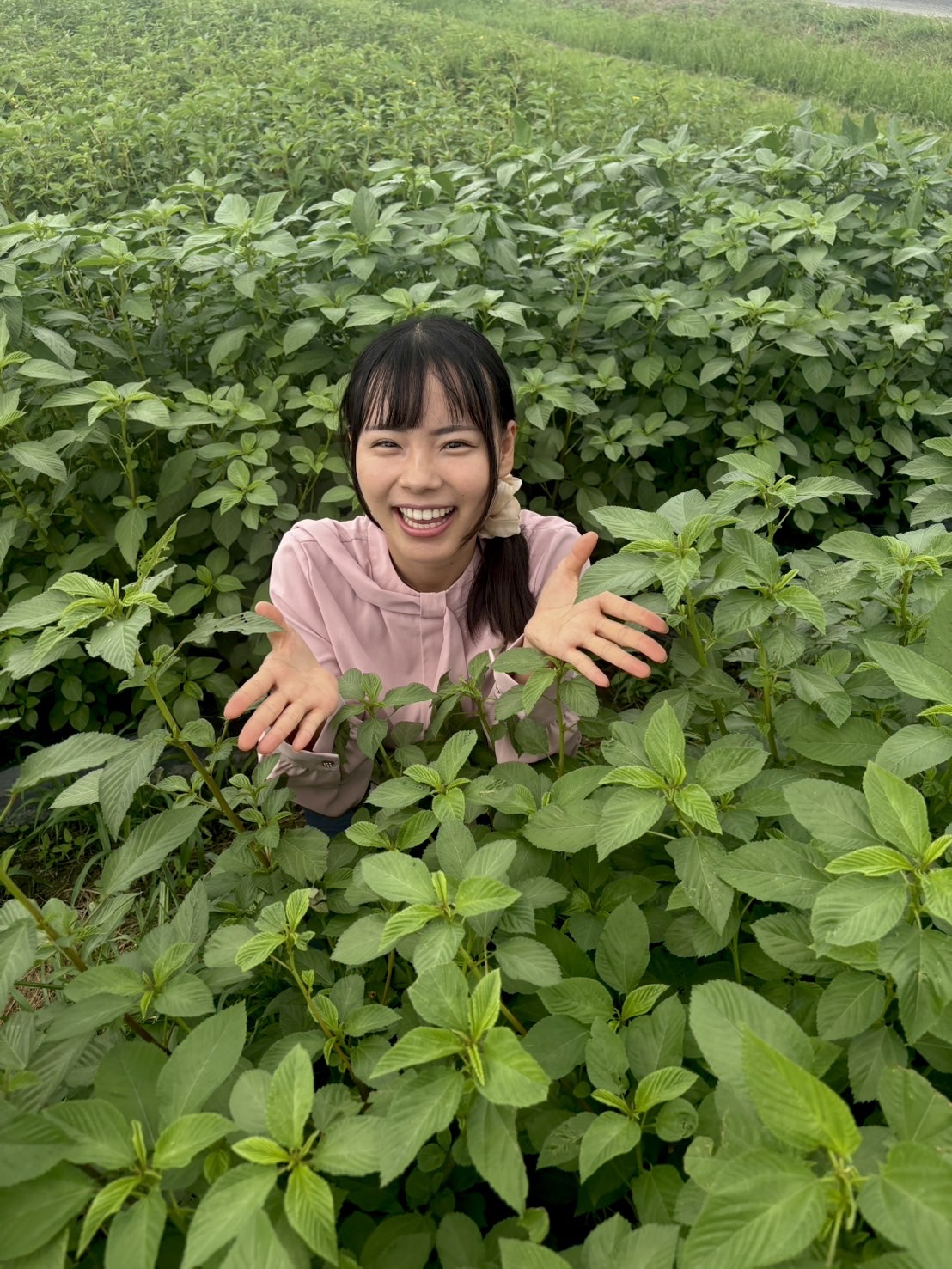 いづも農縁 Instagram投稿1