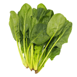 ほうれん草