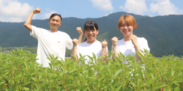 晴天のモロヘイヤ畑と、出雲の自社農園スタッフ